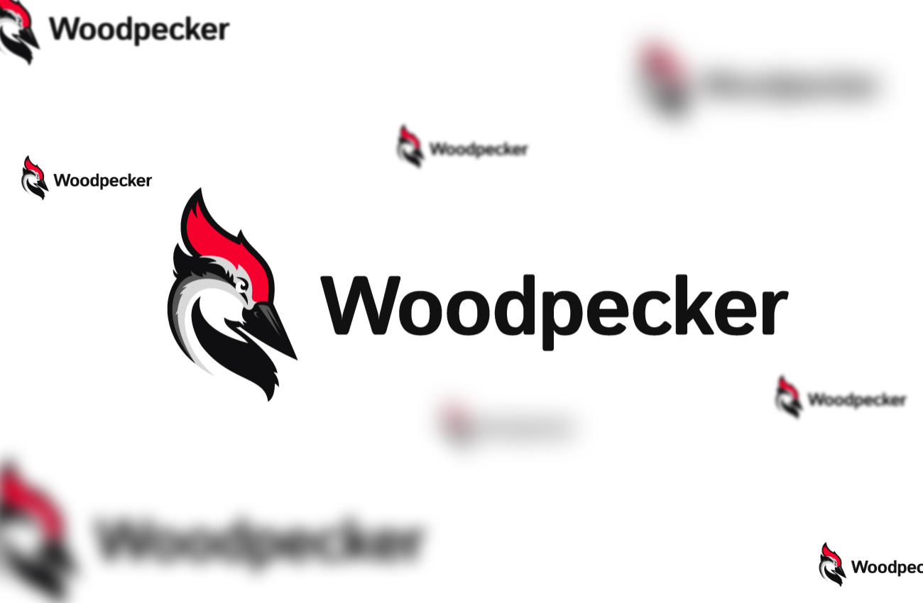 Woodpecker.co chce zadebiutować na warszawskiej giełdzie