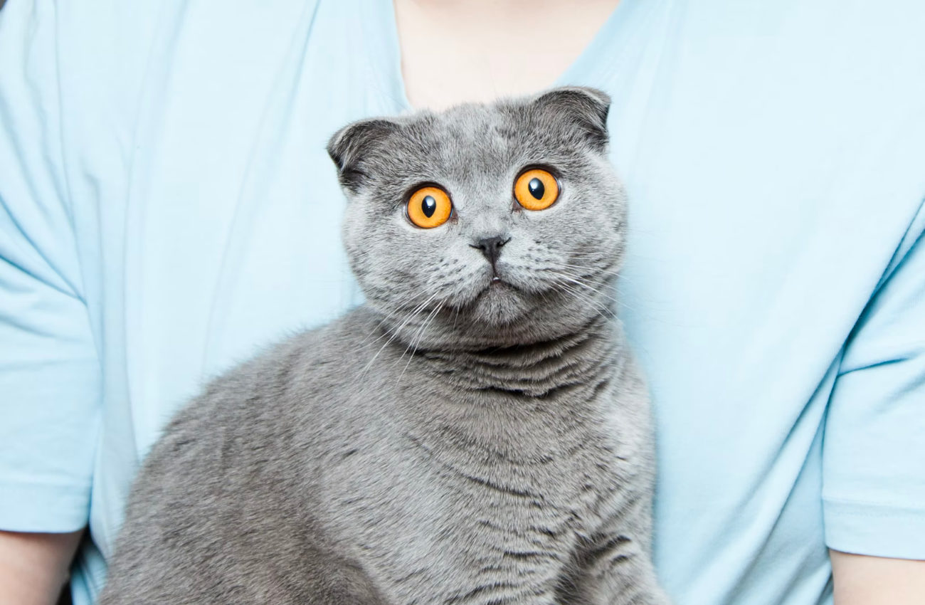 Najbardziej znienawidzone marki na świecie