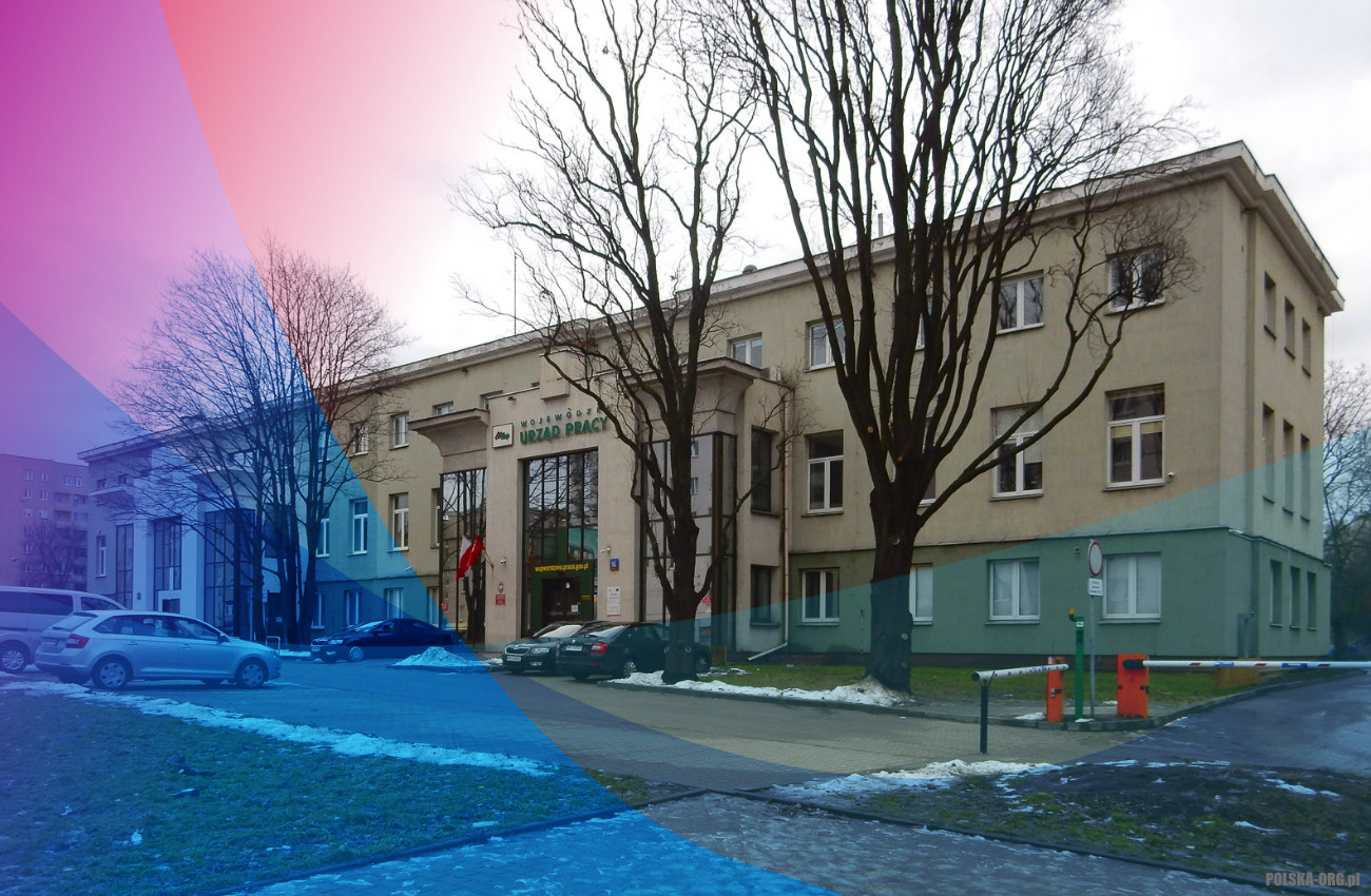 Dzisiaj rusza infolinia WUP w Warszawie
