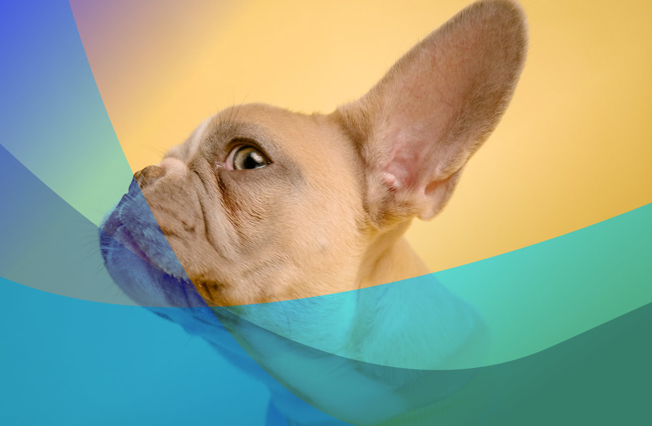 Słuchanie klientów kluczem do lepszych decyzji biznesowych