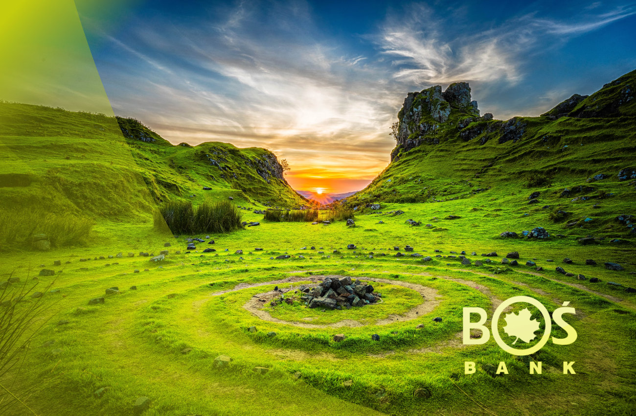 Bank Ochrony Środowiska - wizja i misja sposobem na klientów?